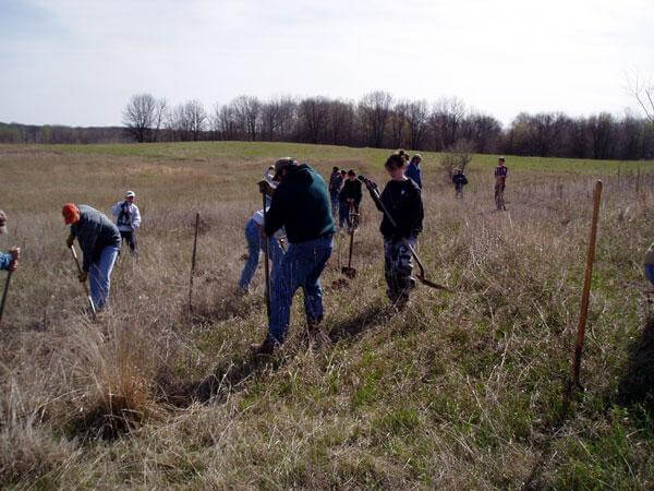 2004 Trees Photo