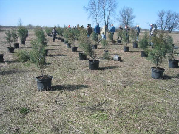 2008 WMA Tree Planting Photo