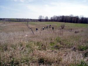 04trees-29-600
