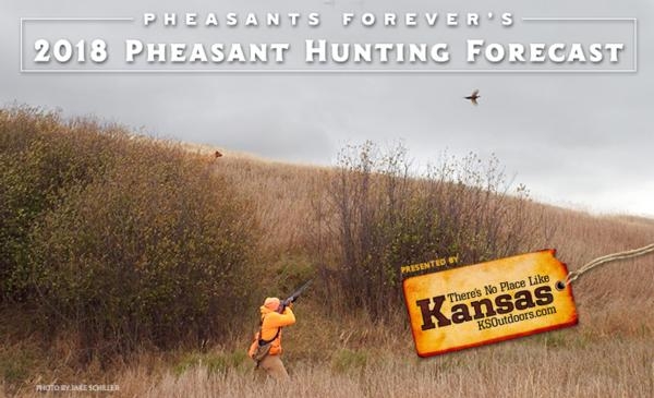 2018 Pheasant Hunting Forecast