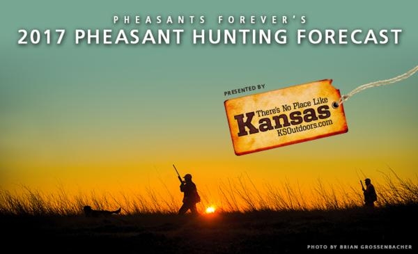 2017 Pheasant's Forever Pheasant Forecast